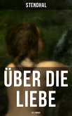 Über die Liebe (De l'amour) (eBook, ePUB)