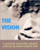 The Vision (eBook, ePUB)
