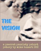 The Vision (eBook, ePUB)