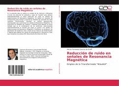 Reducción de ruido en señales de Resonancia Magnética - Cancino de Greiff, Héctor Fernando