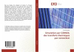 Simulation par COMSOL des transferts thermiques par convection