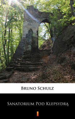 Sanatorium Pod Klepsydrą (eBook, ePUB) - Schulz, Bruno