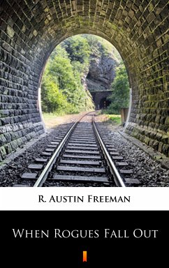 When Rogues Fall Out (eBook, ePUB) - Freeman, R. Austin