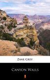 Canyon Walls (eBook, ePUB)