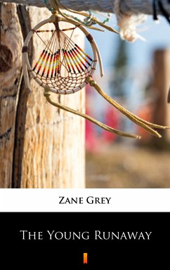 The Young Runaway (eBook, ePUB) - Grey, Zane