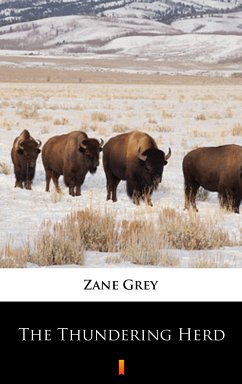 The Thundering Herd (eBook, ePUB) - Grey, Zane