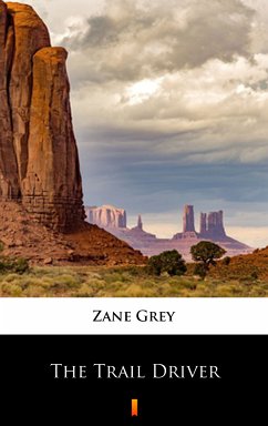 The Trail Driver (eBook, ePUB) - Grey, Zane