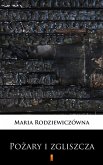 Pozary i zgliszcza (eBook, ePUB) Pozary i zgliszcza (eBook, ePUB)