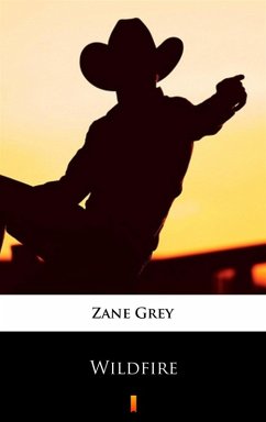 Cover Wildfire (eBook, ePUB)