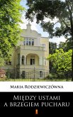 Miedzy ustami a brzegiem pucharu (eBook, ePUB)