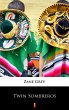 Twin Sombreros (eBook, ePUB) - Bild 1