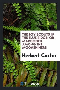 The Boy Scouts in the Blue Ridge - Carter, Herbert