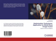 Optimization Techniques: Application to Multi-focus Image Fusion
