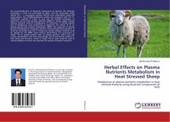 Herbal Effects on Plasma Nutrients Metabolism in Heat Stressed Sheep