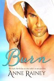 Burn (eBook, ePUB)