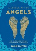 A Little Bit of Angels: An Introduction to Spirit Guidance Volume 11