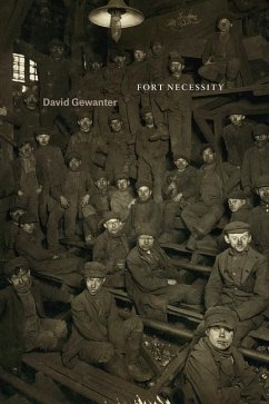 Fort Necessity - Gewanter, David
