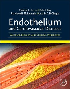 Endothelium and Cardiovascular Diseases - Da Luz, Protasio Lemos;Libby, Peter;Laurindo, Francisco Rafael Martins