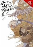 Is It Wrong to Try to Pick Up Girls in a Dungeon?, Vol. 11 (light novel) - Omori, Fujino