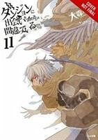 Is It Wrong to Try to Pick Up Girls in a Dungeon?, Vol. 11 (Light Novel) - Omori, Fujino