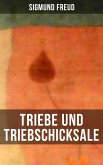 Triebe und Triebschicksale (eBook, ePUB)