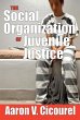 The Social Organization of Juvenile... - Bild 1