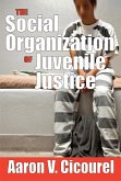 The Social Organization of Juvenile Justice (eBook, PDF)