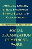 Social Organization of Medical Work (eBook, ePUB)