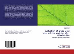 Evaluation of grape yield selected vine varieties after rejuvenation