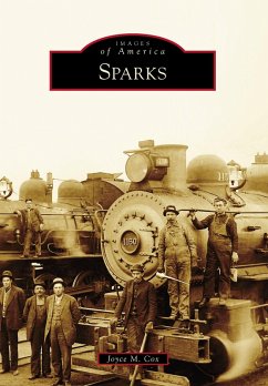 Cover Sparks (eBook, ePUB)