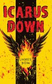 Icarus Down (eBook, ePUB)