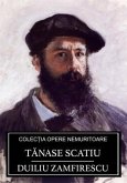 Tanase Scatiu (eBook, ePUB)