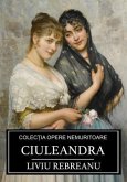 Ciuleandra (eBook, ePUB)