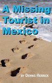 Missing Tourist in Mexico (eBook, ePUB)