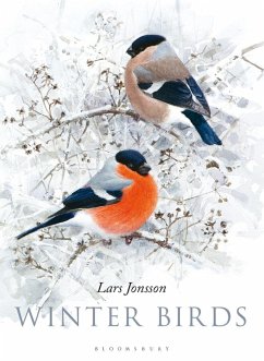 Winter Birds (eBook, PDF) - Jonsson, Lars