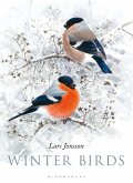 Winter Birds (eBook, ePUB)