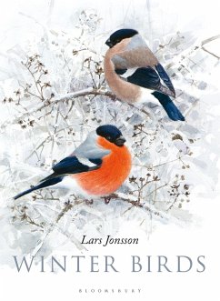 Winter Birds (eBook, ePUB) - Jonsson, Lars