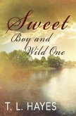 Sweet Boy and Wild One (eBook, ePUB)