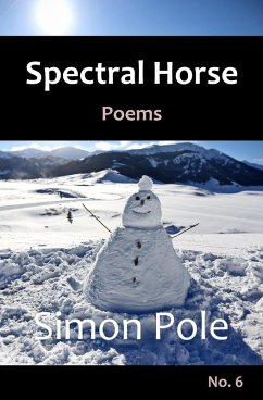 Spectral Horse Poems No. 6 (eBook, ePUB) - Pole, Simon