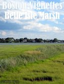 Boston Vignettes - Belle Isle Marsh (eBook, ePUB)
