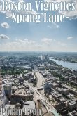 Boston Vignettes - Spring Lane (eBook, ePUB)
