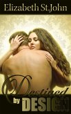 Destined by Design (eBook, ePUB)