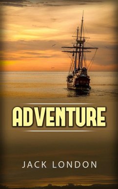 Cover Adventure (eBook, ePUB)