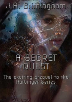 Cover A Secret Quest (eBook, ePUB)
