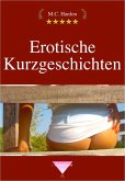Erotische Kurzgeschichten (eBook, ePUB)