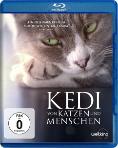 Kedi - Von Katzen und Menschen - Diverse