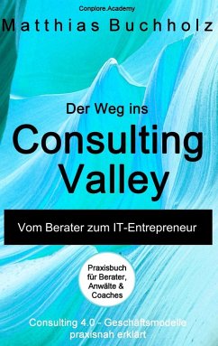 Der Weg ins Consulting Valley (eBook, ePUB)