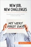 New Job, New Challenges (eBook, ePUB)