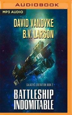 Battleship Indomitable - Larson, B. V.; Vandyke, David