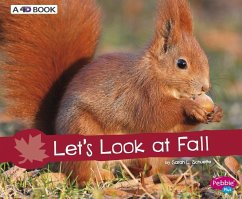 Let's Look at Fall: A 4D Book - Schuette, Sarah L.